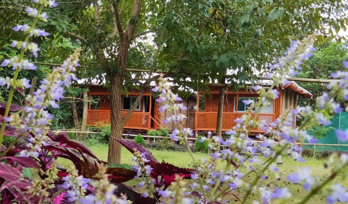 Tiger'S Wood Glamping & Eco-Retreat Hotel Kāziranga Екстериор снимка