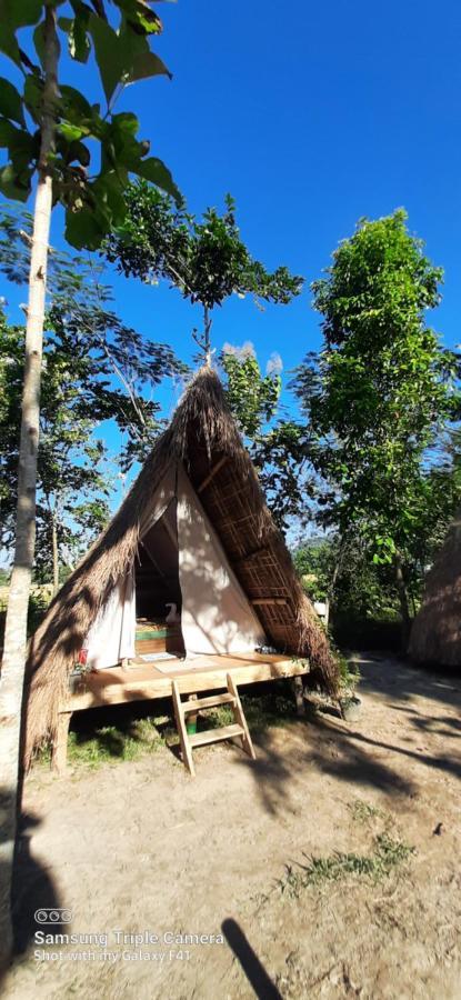 Tiger'S Wood Glamping & Eco-Retreat Hotel Kāziranga Екстериор снимка