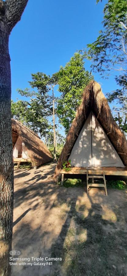 Tiger'S Wood Glamping & Eco-Retreat Hotel Kāziranga Екстериор снимка